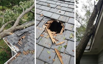 Roof Damage From Trees: What To Do Immediately, Repair Costs & Insurance Guide