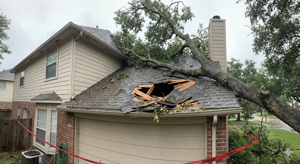 Roof Damage From Trees