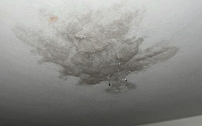 How to Check for Roof Leaks and Prevent Water Damage