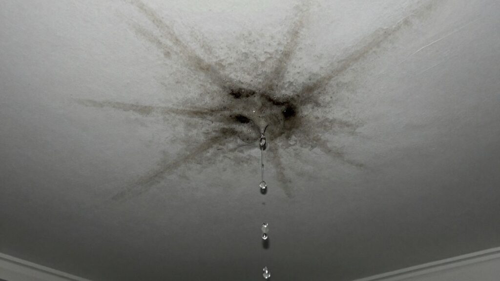 Water stain on ceiling with dripping water.
